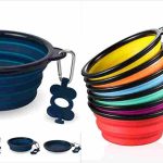 Best Dog Camping Gear 2026 – Beds Leashes & Bowls