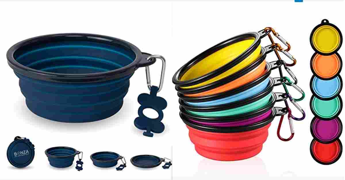 Best Dog Camping Gear 2026 – Beds Leashes & Bowls