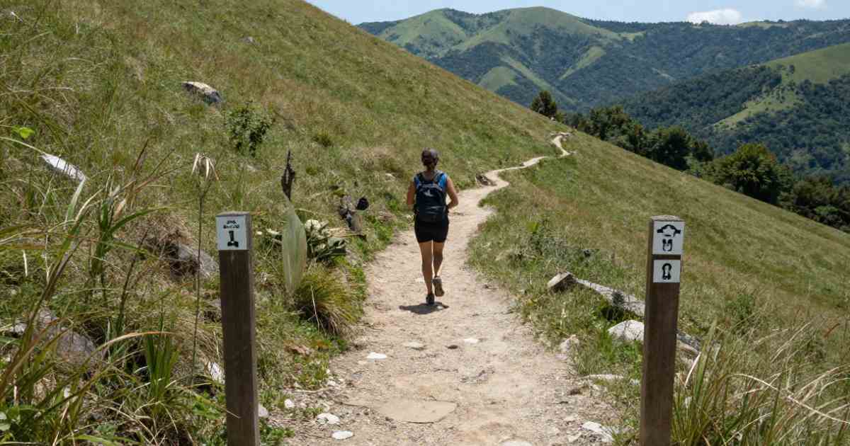 Easy Hikes Near Me 20 Mile Challenges for All Levels